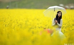 美育云端课堂视频